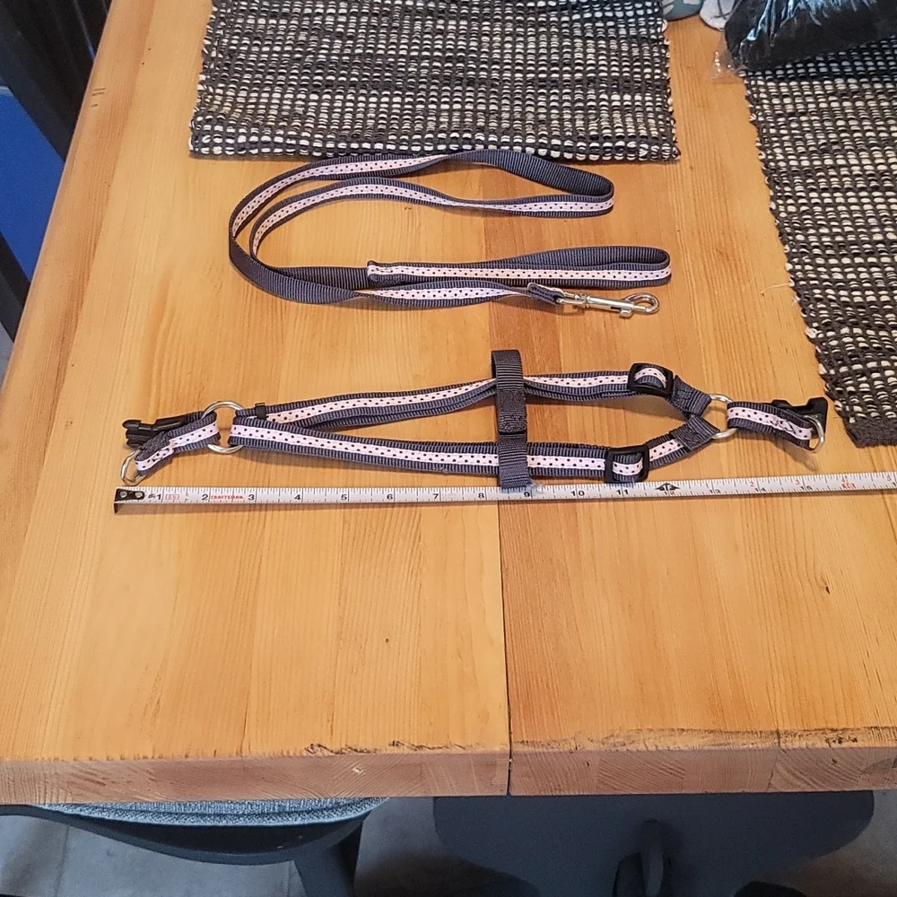 Femle Dog Polkadot HARNESS and MATCHING LEASH